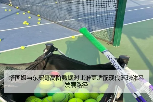 塔图姆与东契奇高阶数据对比谁更适配现代篮球体系发展路径